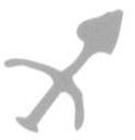 Logo Santiago Arcos
