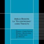 Amelia Biagioni: La excentricidad como trayecto. Poesía y campo poético, poesía y multiplicidad
