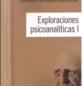 Exploraciones psicoanalíticas, Vol. I