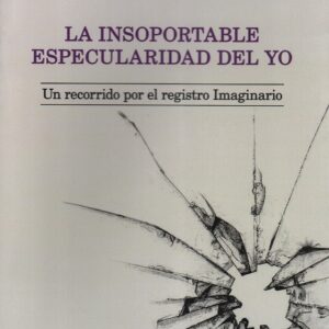 La insoportable especularidad del yo. Un recorrido por el registro imaginario
