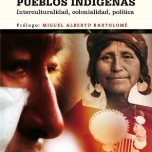 Pueblos indígenas. Interculturalidad, colonialidad, política