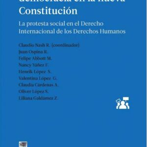 Desafíos globales para la democracia en la nueva Constitución