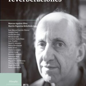 Pablo Oyarzún: reverberaciones
