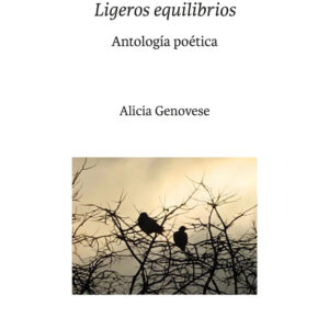 Ligeros equilibrios