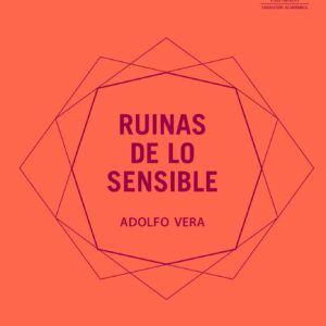 Ruinas de lo sensible