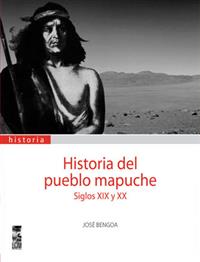 Historia del pueblo mapuche. Siglos XIX y XX