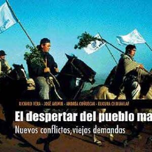 El despertar del pueblo mapuche. Nuevos conflictos, viejas demandas