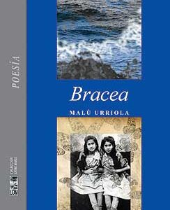 Bracea