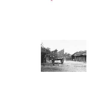 Días de campo