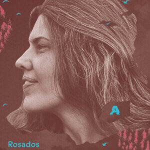 Rosados cuerpos de pinos