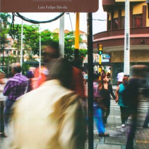 Reglas, crimen y orden. Un estudio sobre la seguridad en Medellín