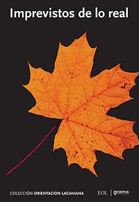 Imprevistos de lo real