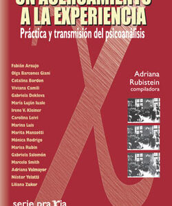 Un acercamiento a la experiencia. Práctica y transmisión del psicoanálisis