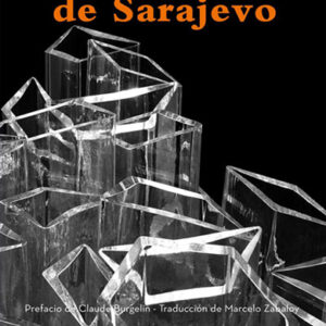 El atentado de Sarajevo