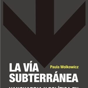 La vía subterránea. Vanguardia y política en el cine under argentino