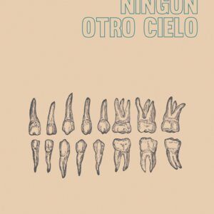 Ningún otro cielo