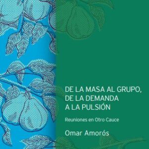 De la masa al grupo, de la demanda a la pulsión. Reuniones en Otro Cauce