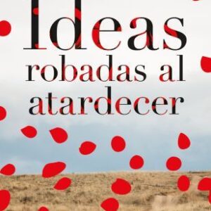 Ideas robadas al atardecer