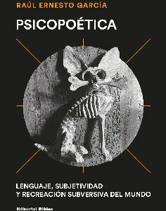 Psicopoética. Lenguaje, subjetividad y recreación subversiva del mundo