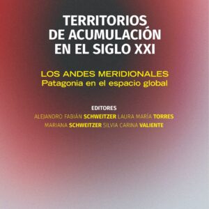 Territorios de acumulación en el siglo XXI. Los Andes Meridionales: Patagonia en el espacio global