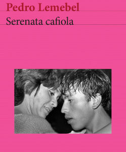 Serenata cafiola