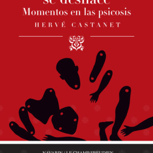 Cuando el cuerpo se deshace. Momentos en las psicosis