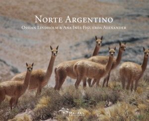 Norte Argentino